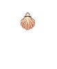 Shell Rose Gold