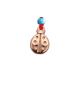Lady Bird Charm