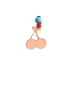 CHERRY CHARM
